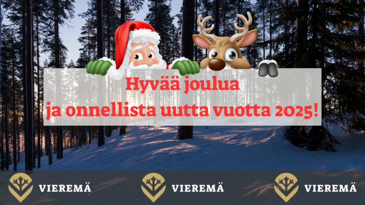 Hyvää joulua ja onnellista uutta vuotta 2025!